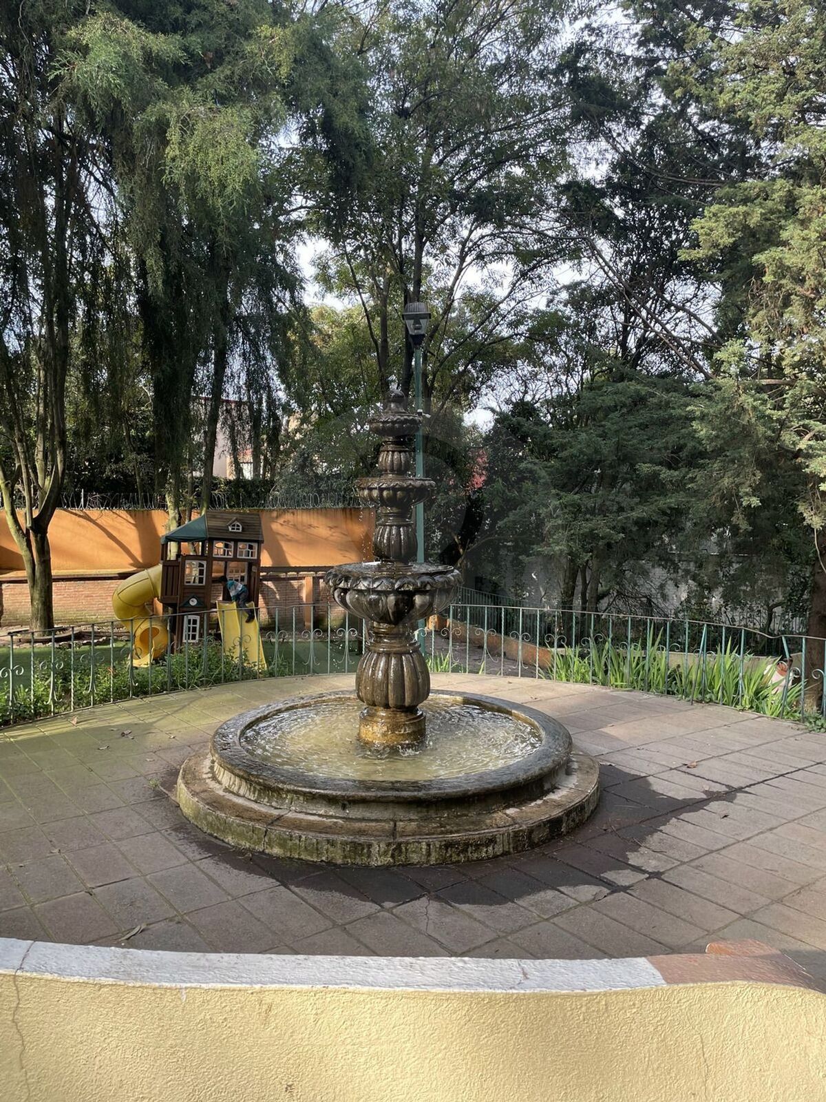 6 de 11