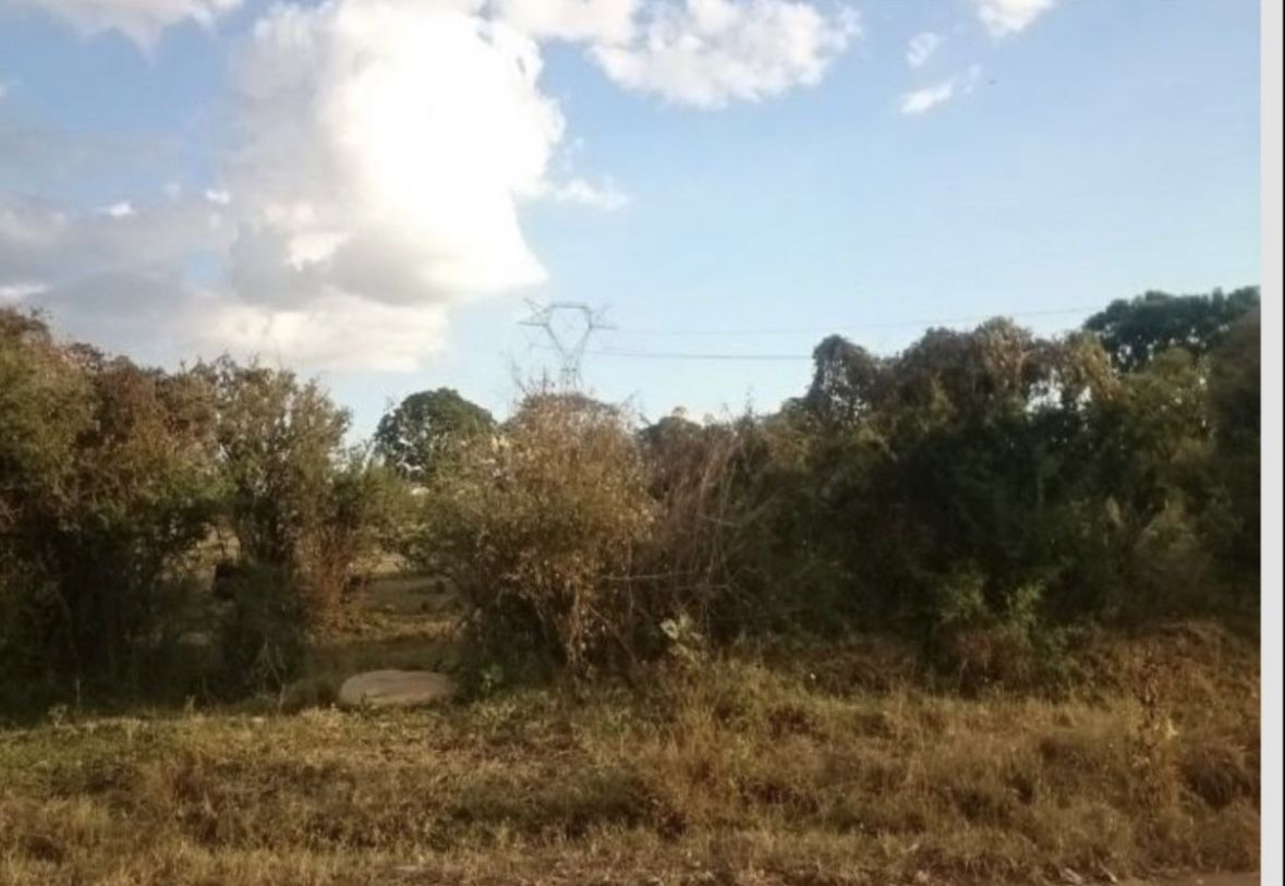 4 de 7