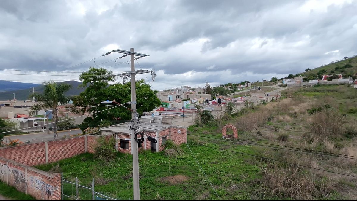 3 de 6