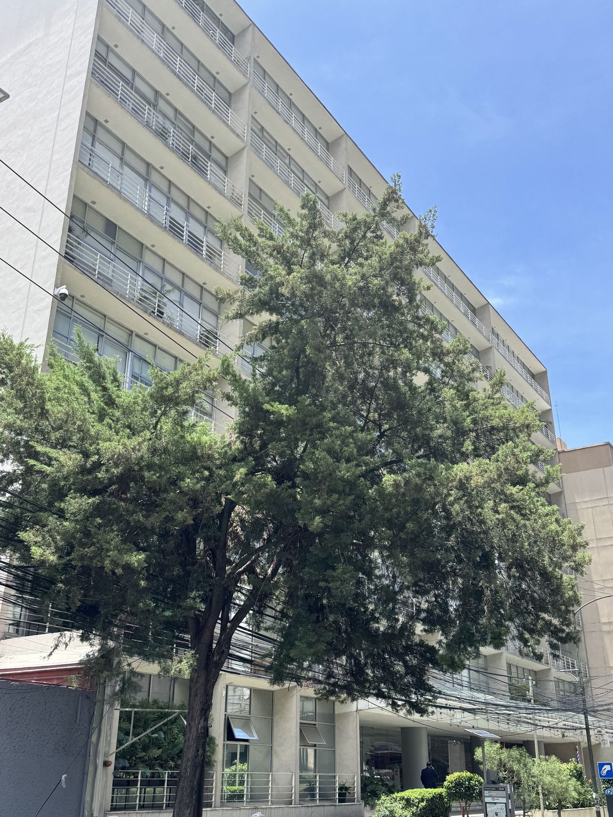 1 de 19