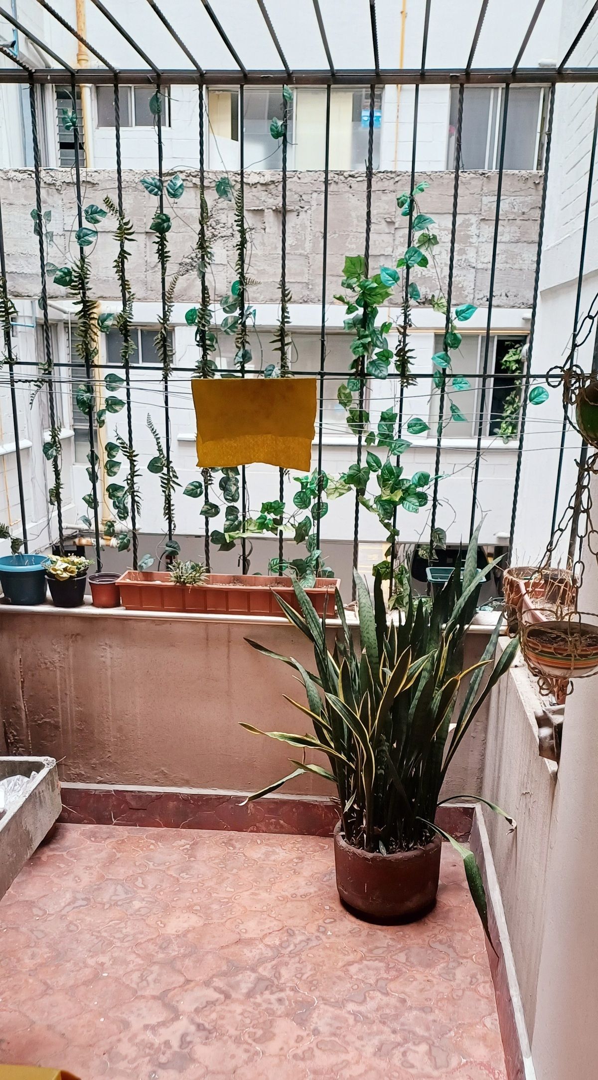 3 de 17