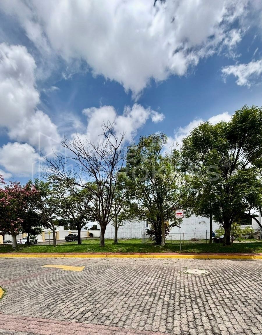 Terreno en Venta - La Cima, Coto Los Robles en Zapopan - foto 3