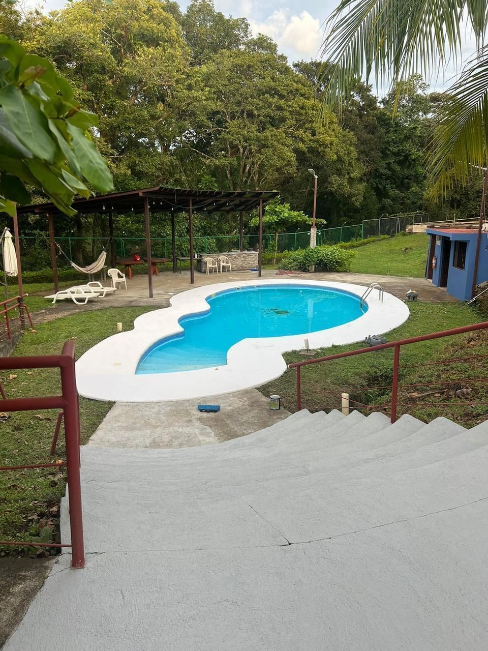 3 de 12