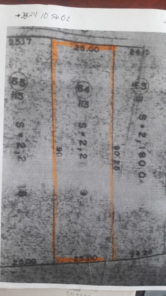 11 de 11