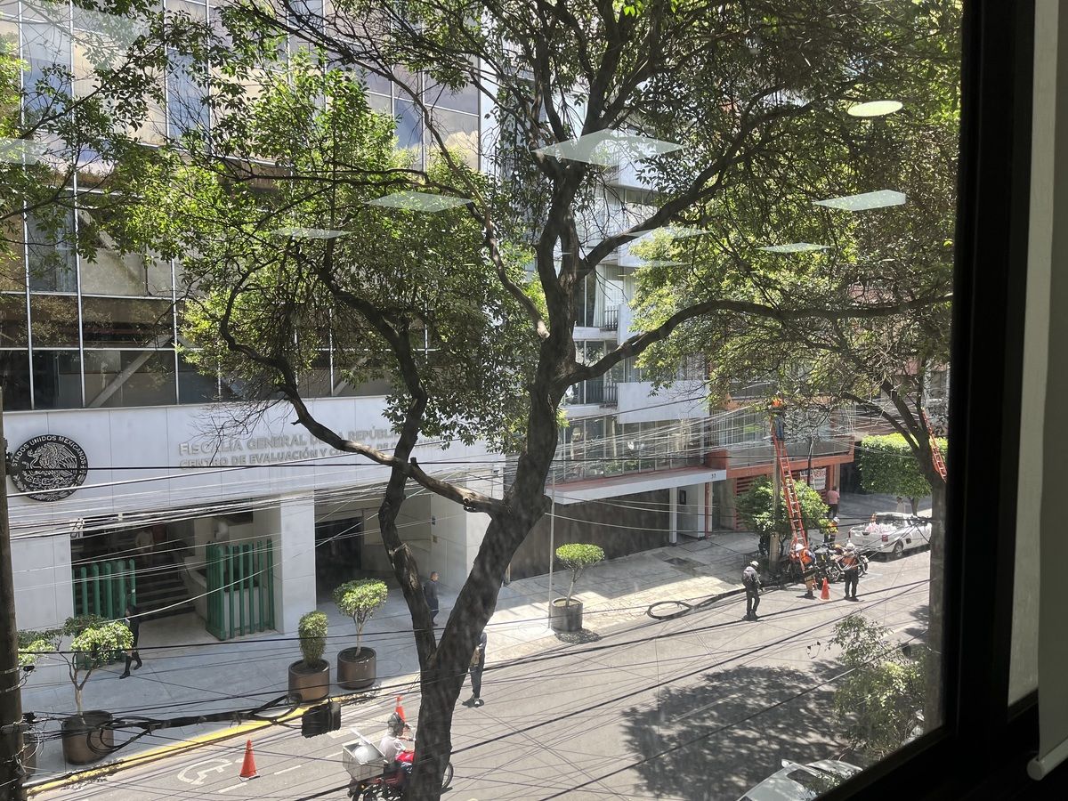 22 de 26
