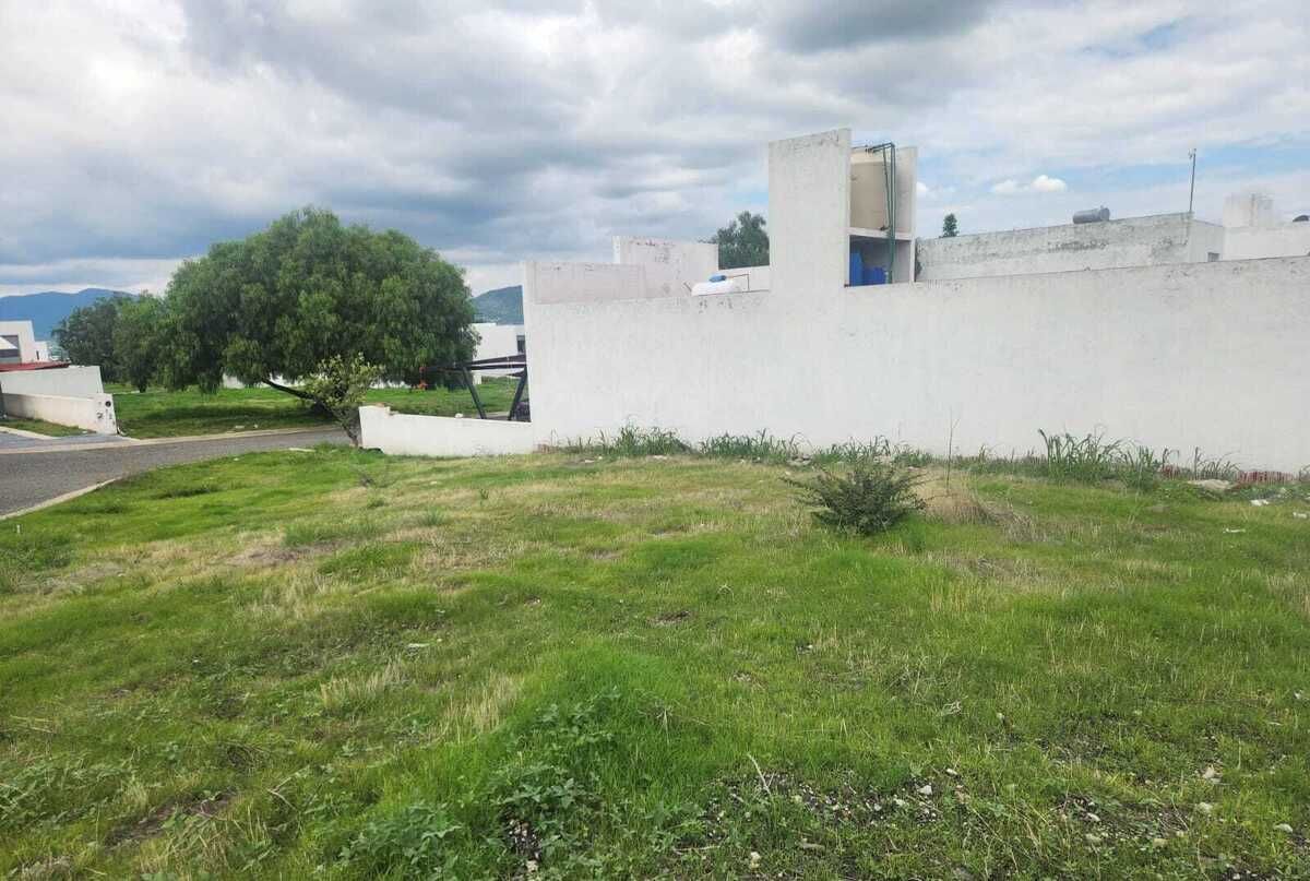 7 de 11