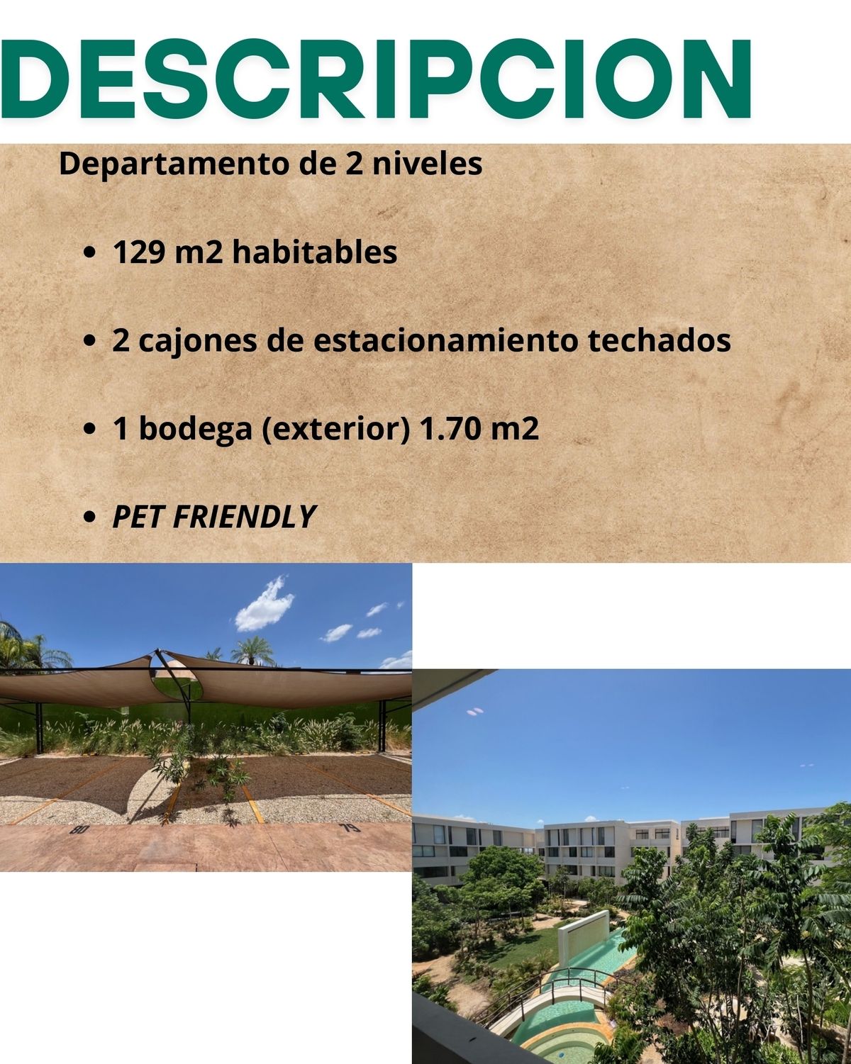 2 de 12
