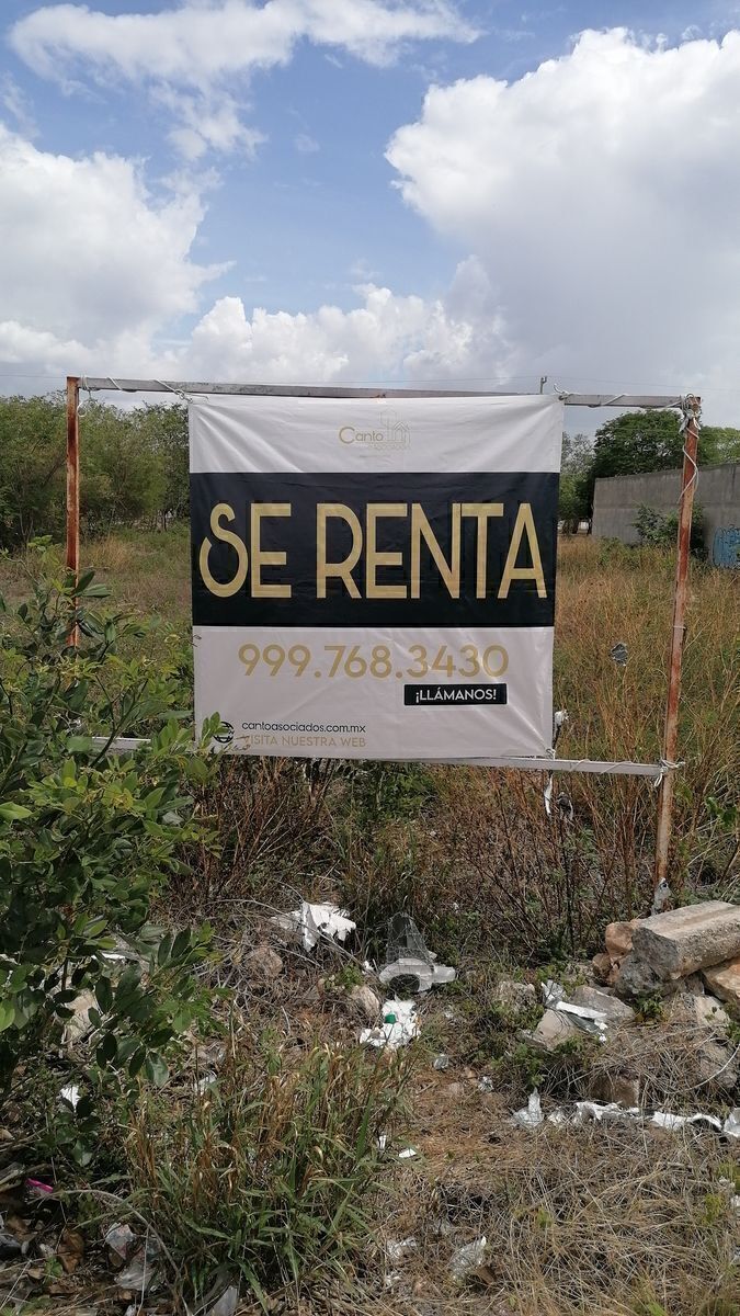4 de 5