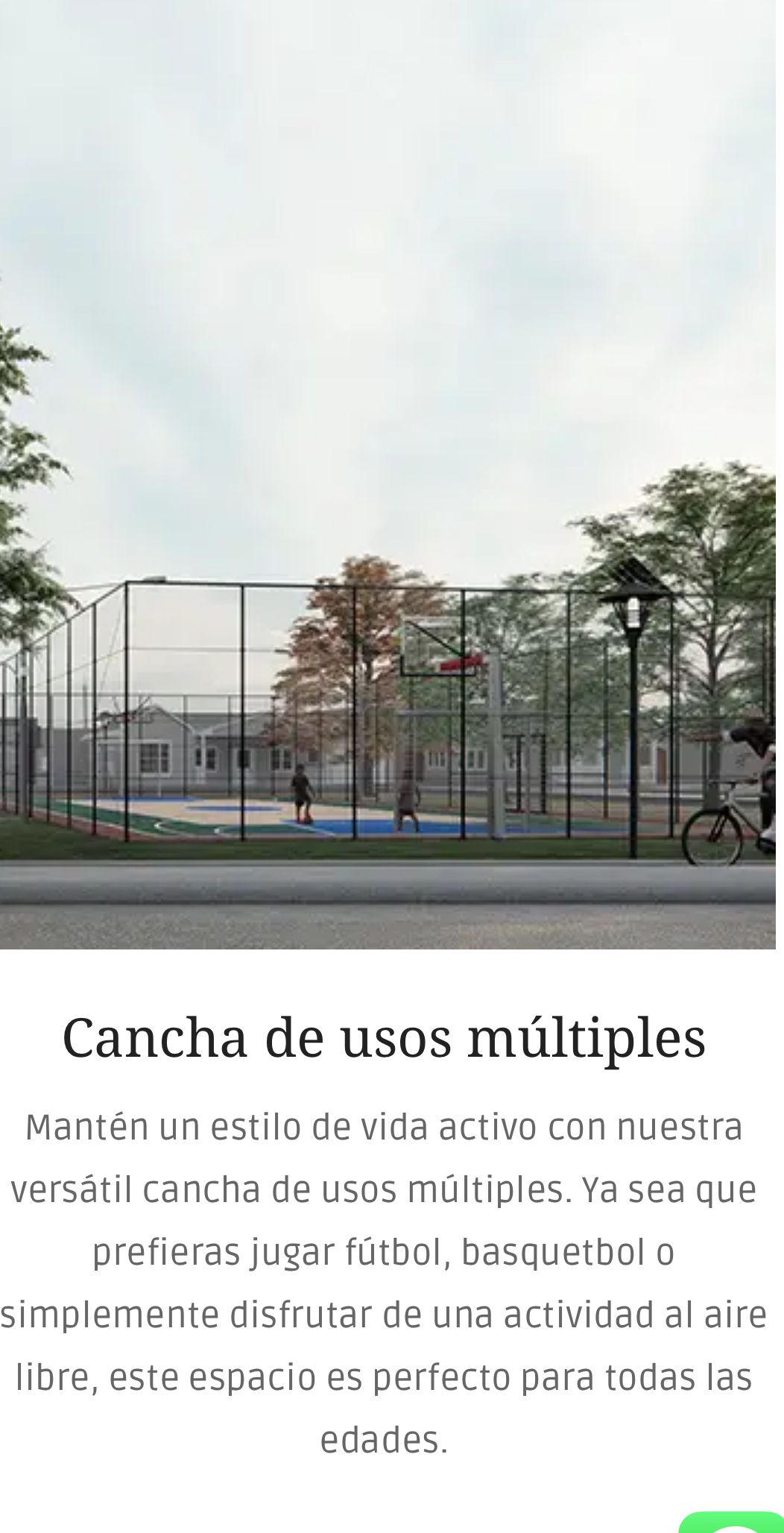 4 de 6