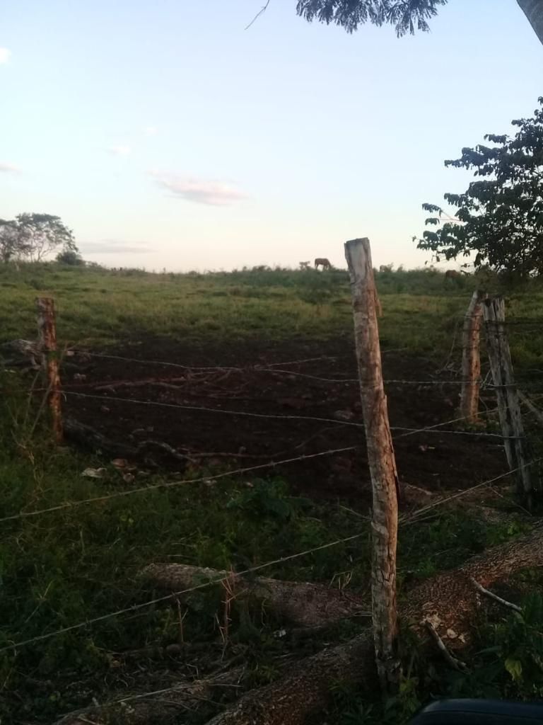 Imagen 7 de 10