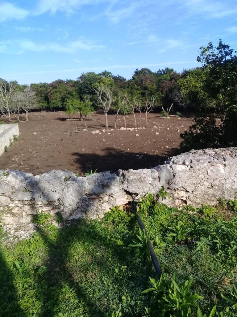 Imagen 10 de 10