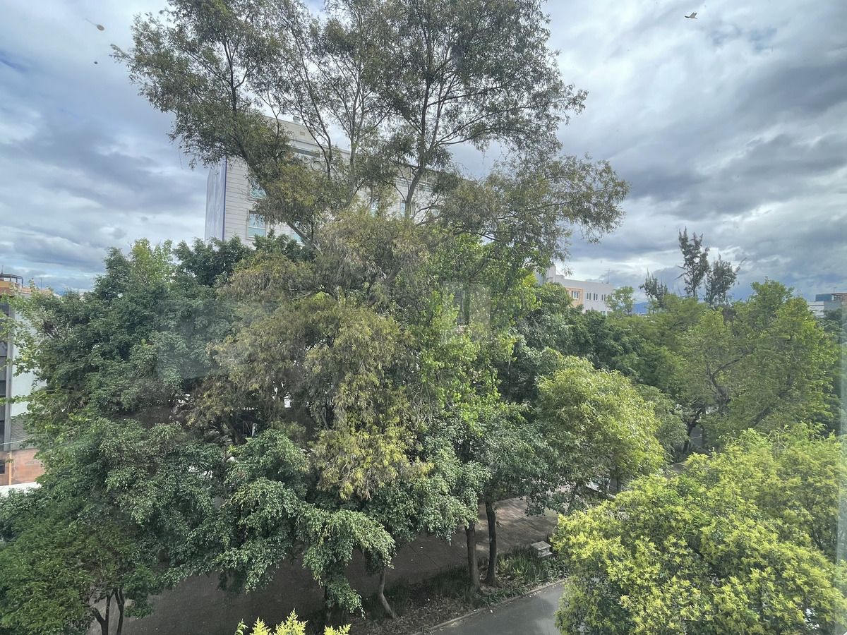 3 de 18: Vista desde la sala