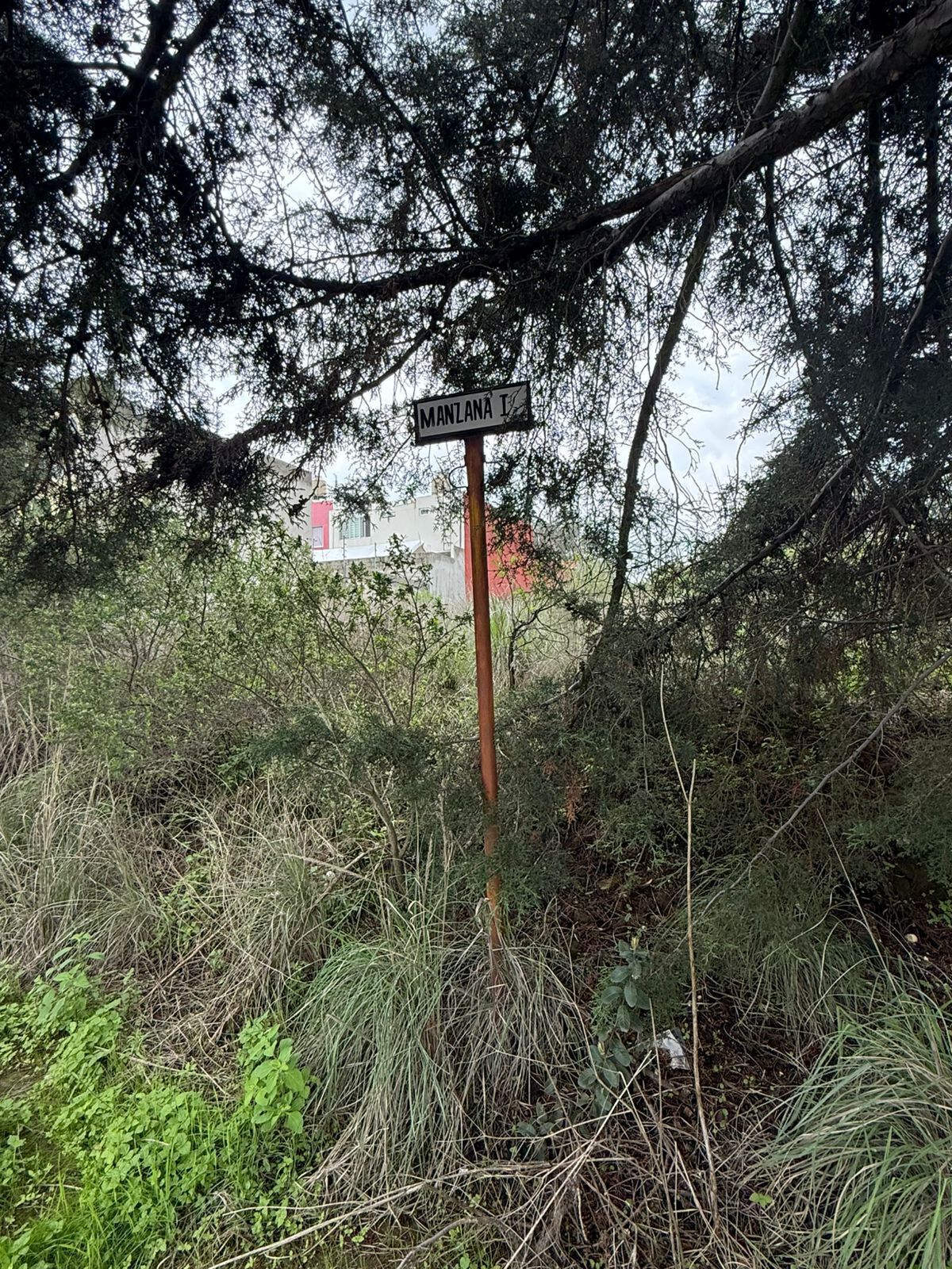 1 de 8: TERRENO VISTAS VARIAS