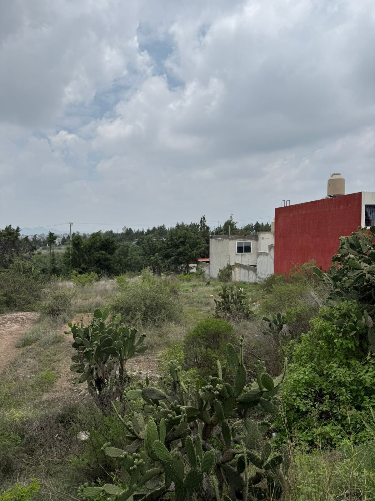 4 de 8: TERRENO VISTAS VARIAS