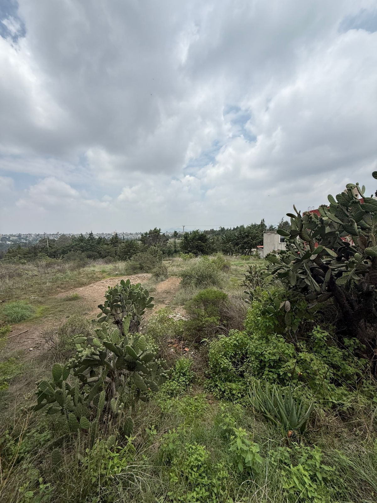 7 de 7: VISTA DEL LARGO DEL TERRENO