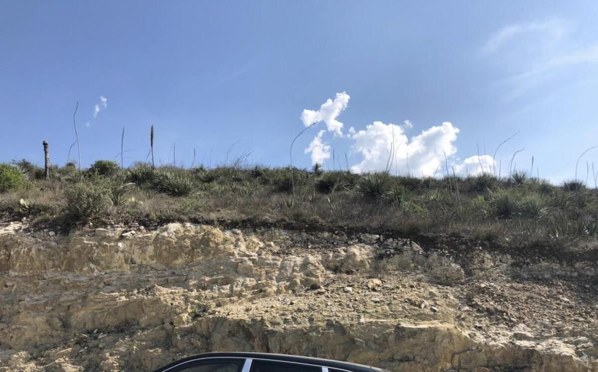 1 of 5