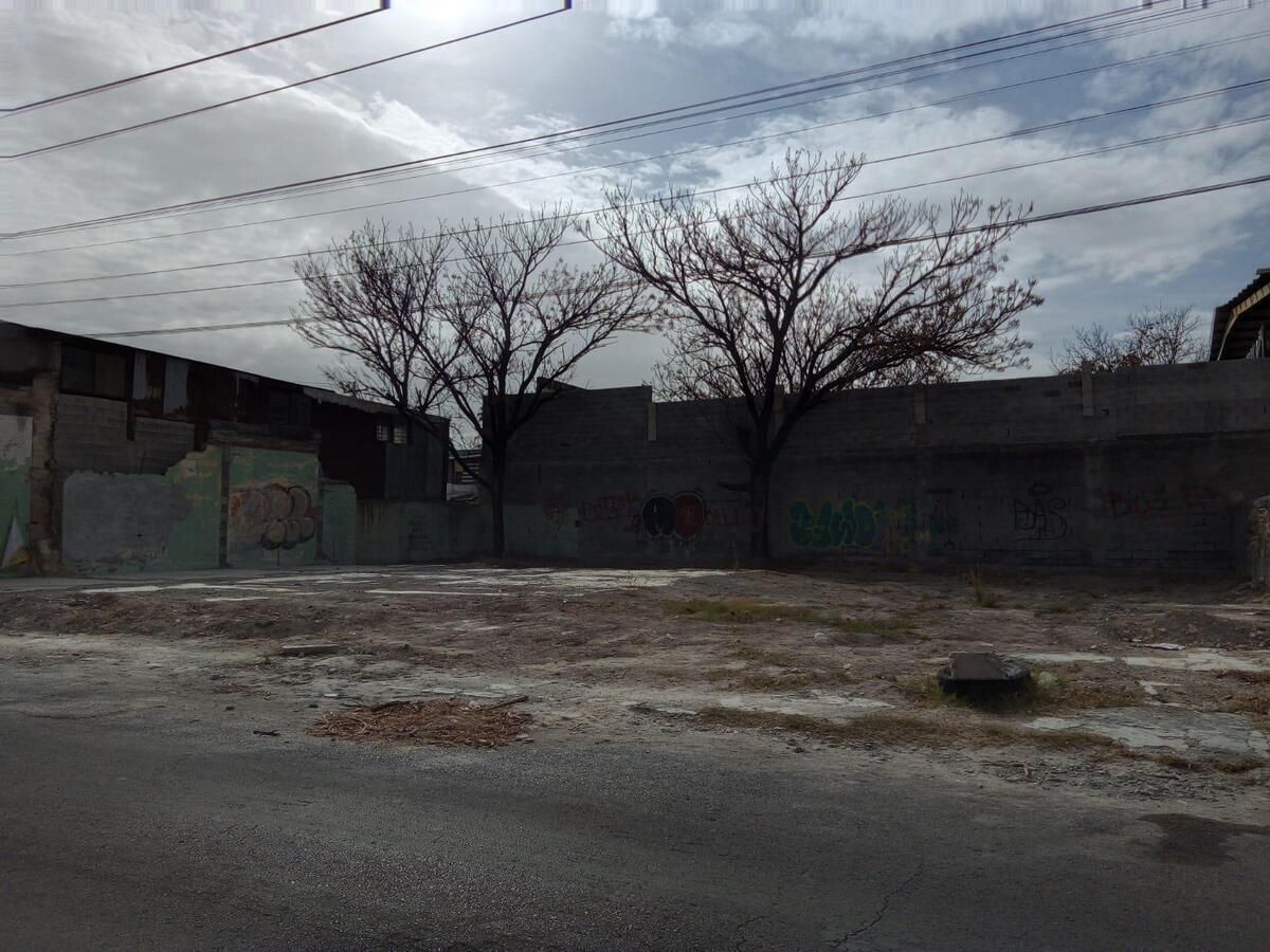 Imagen 2 de 3