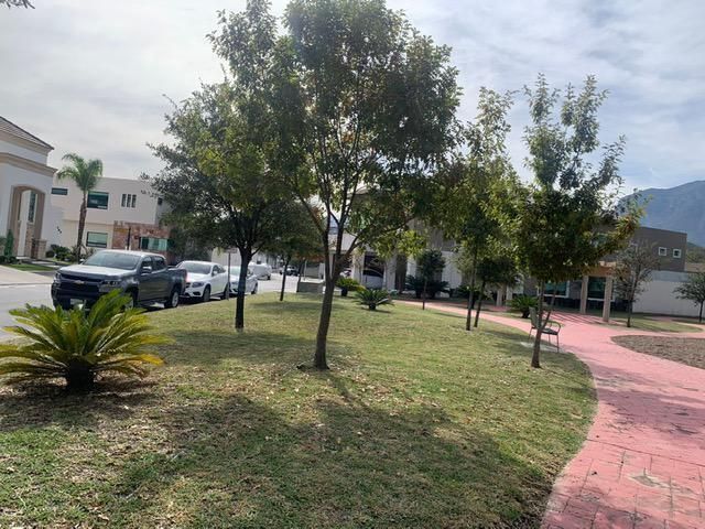 5 de 11