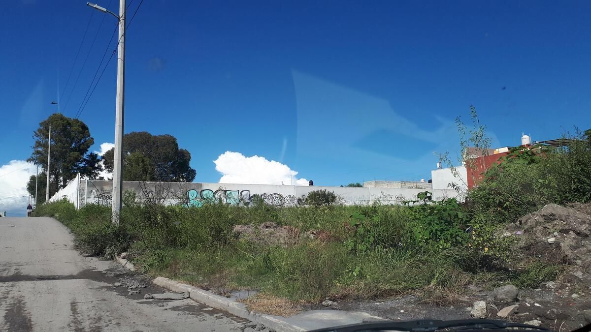 1 de 7