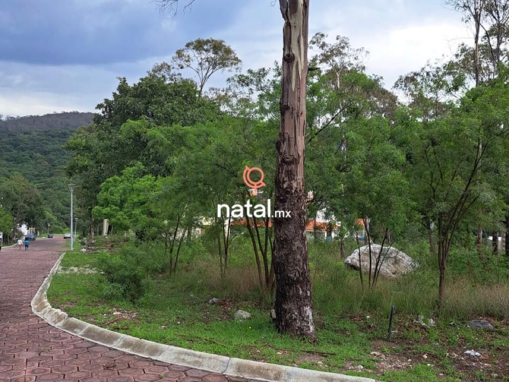 Imagen 2 de 4