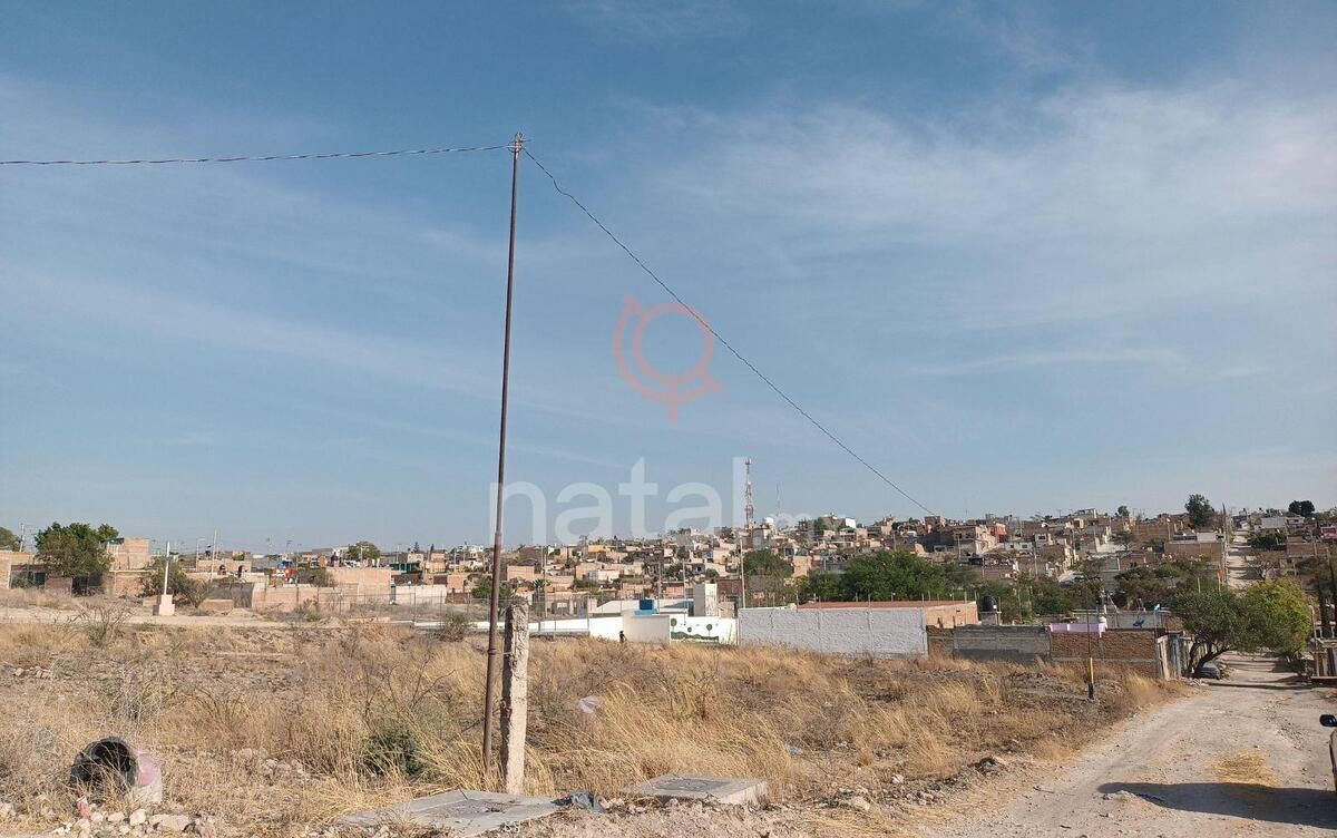 4 de 24