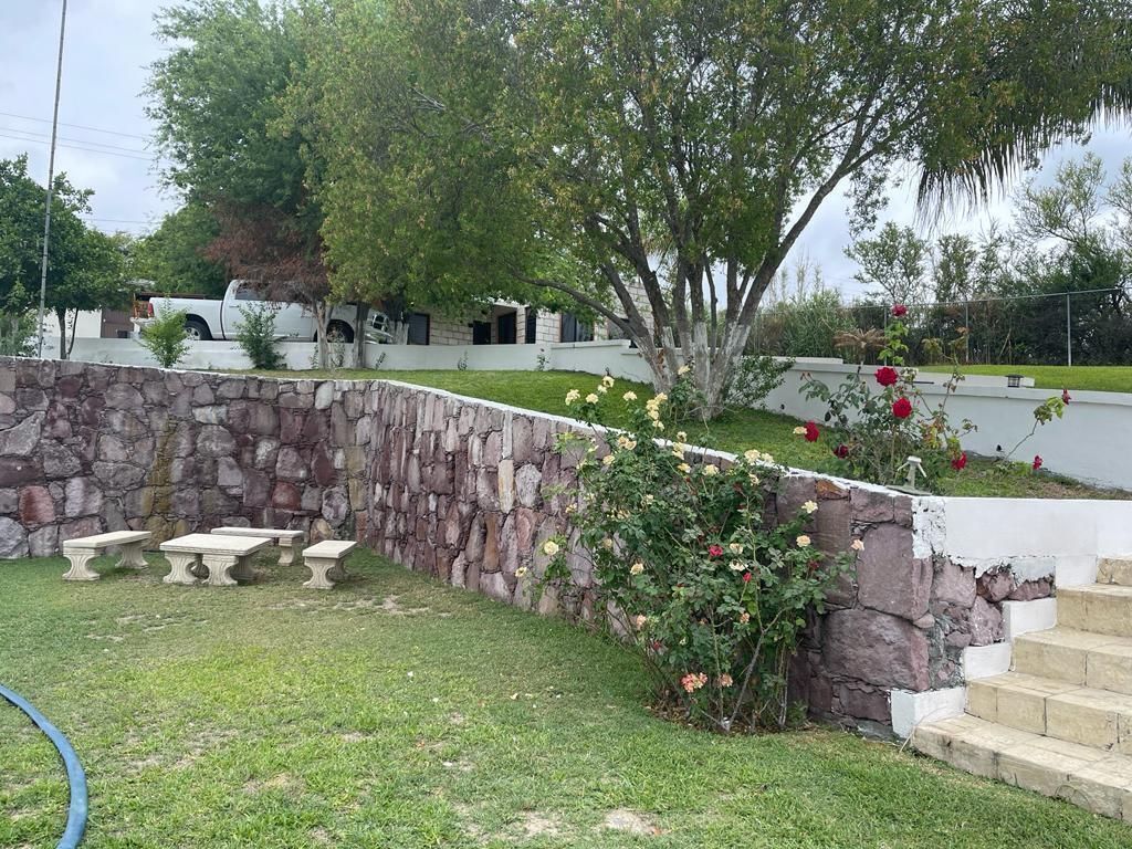 3 de 19