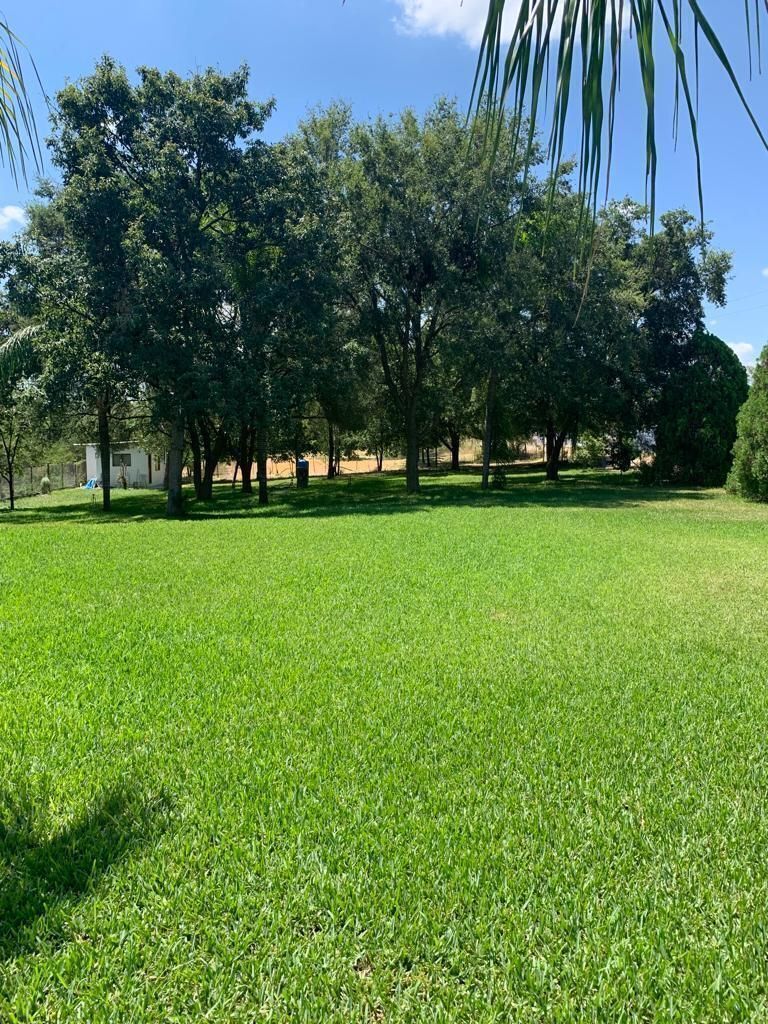 5 de 6