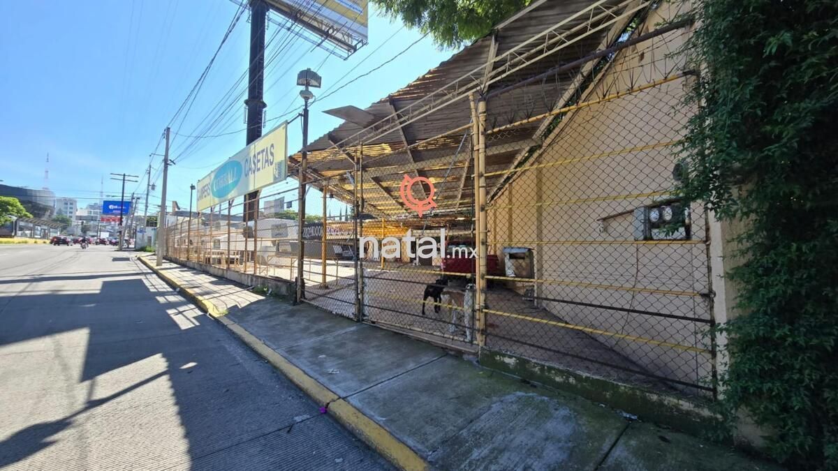 5 de 5
