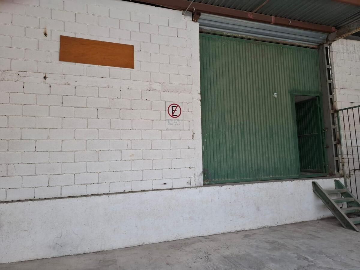 4 de 6