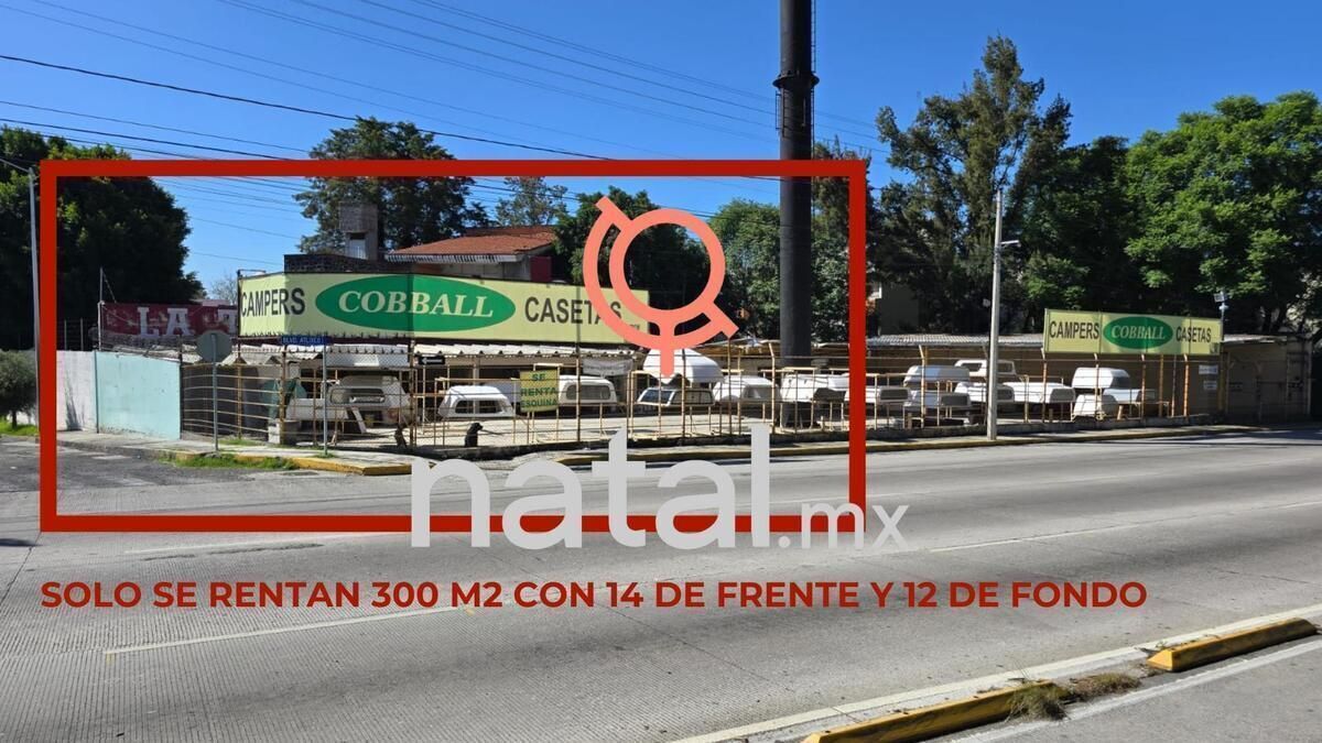 2 de 6