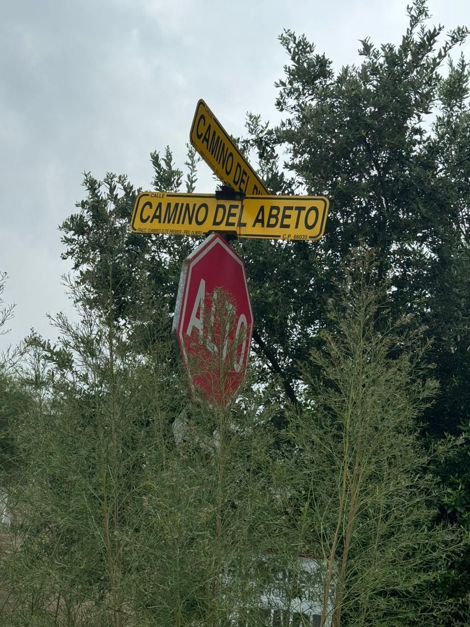 Imagen 5 de 5