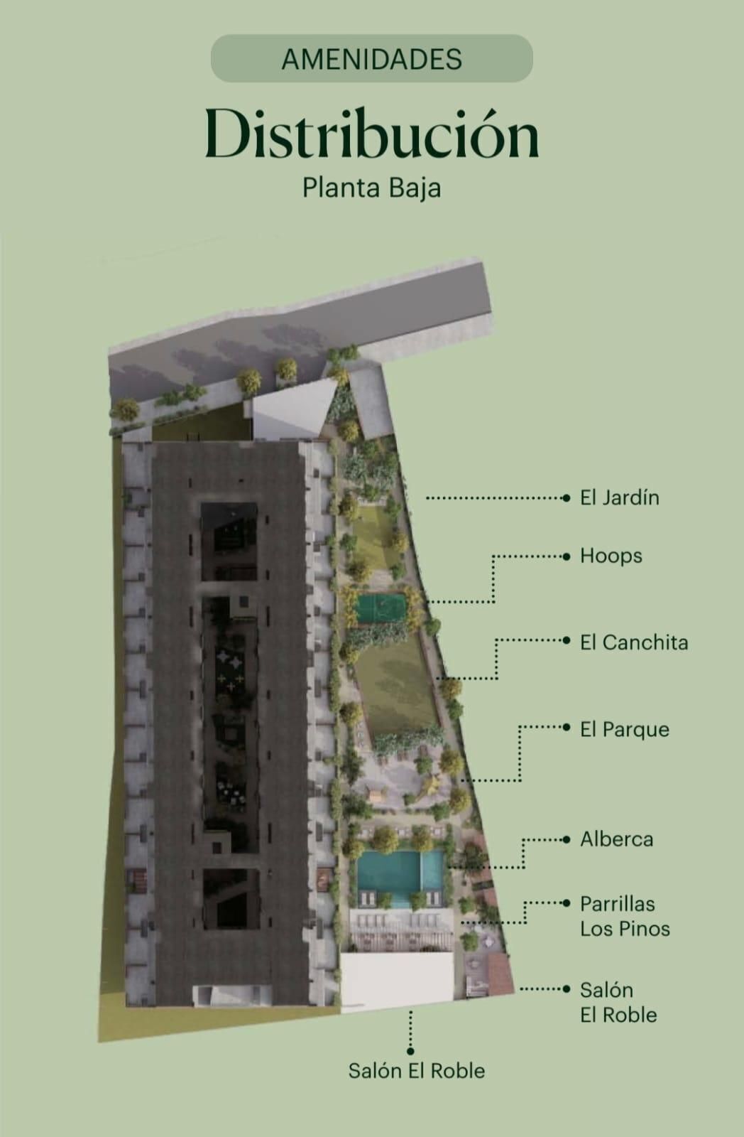 5 de 5