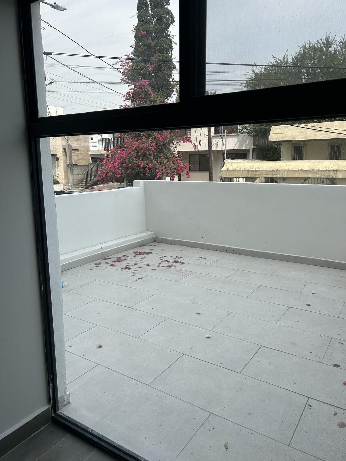 5 de 12