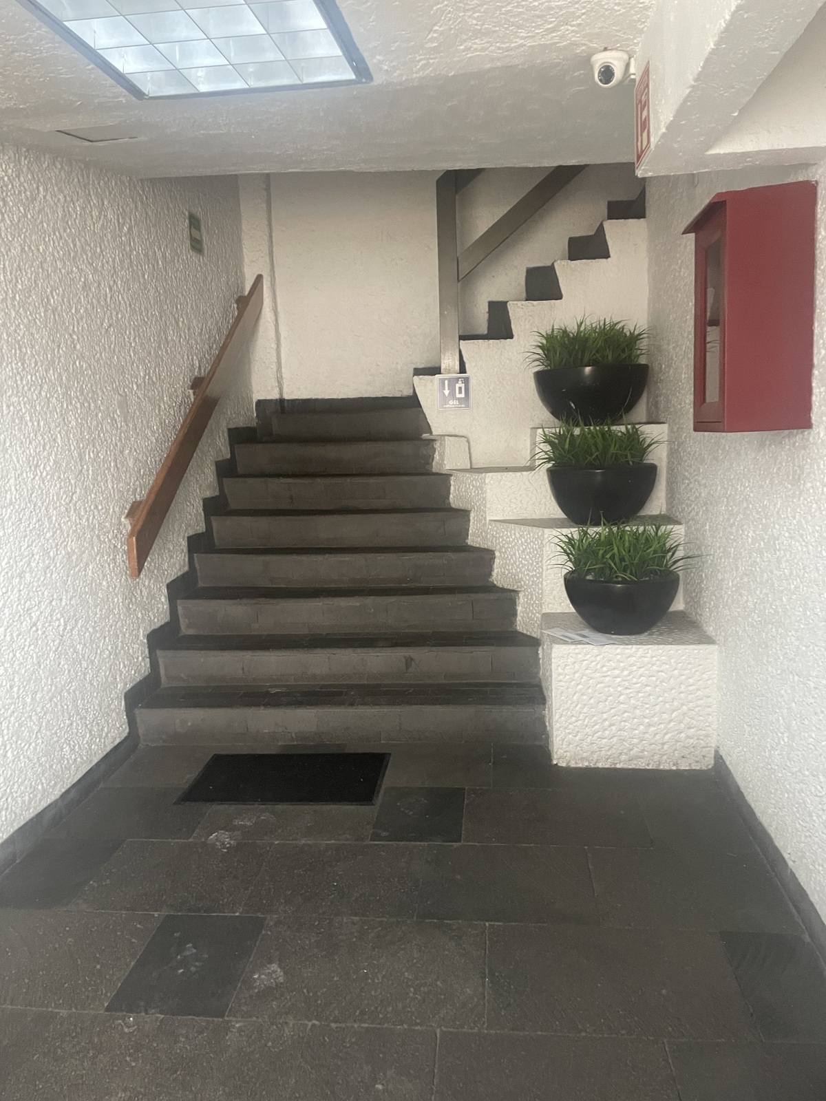 6 de 6