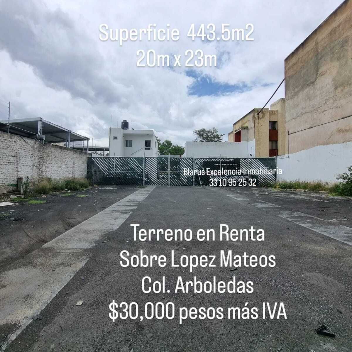 5 de 6