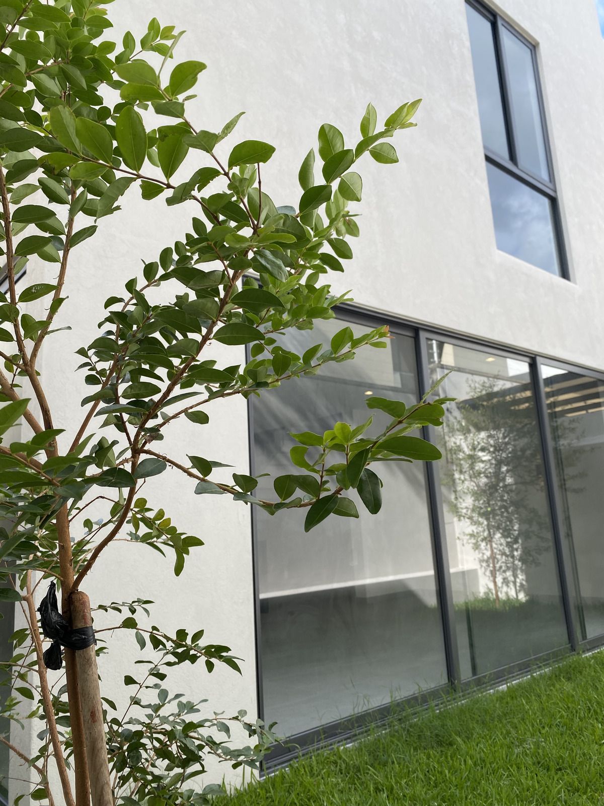 26 de 33: JARDIN