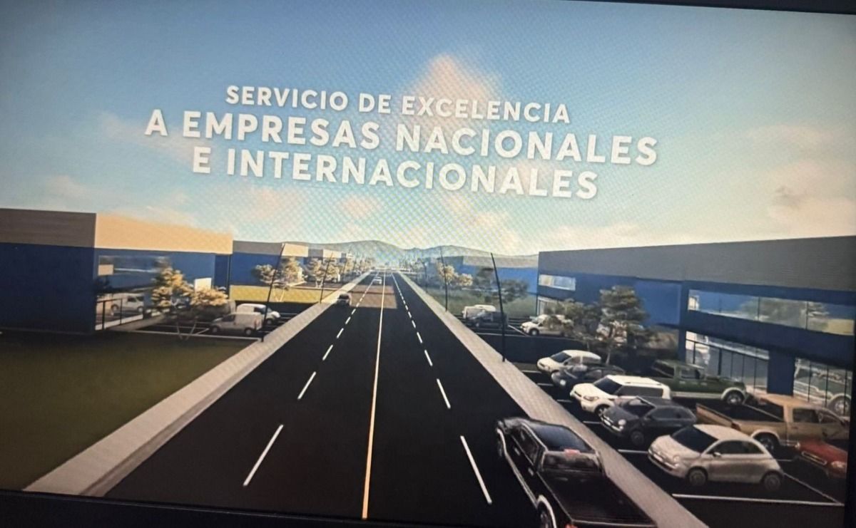 3 de 12