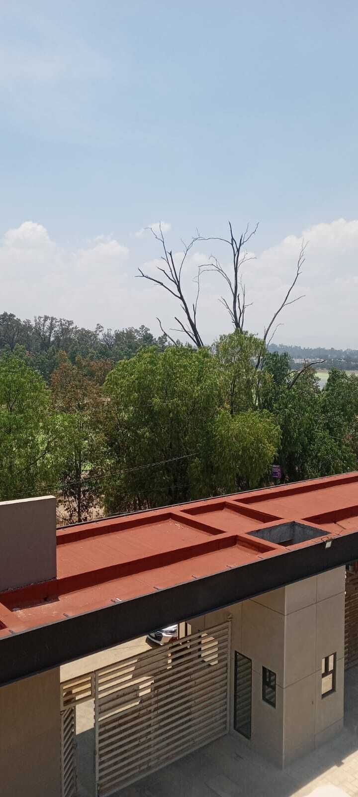 13 de 23