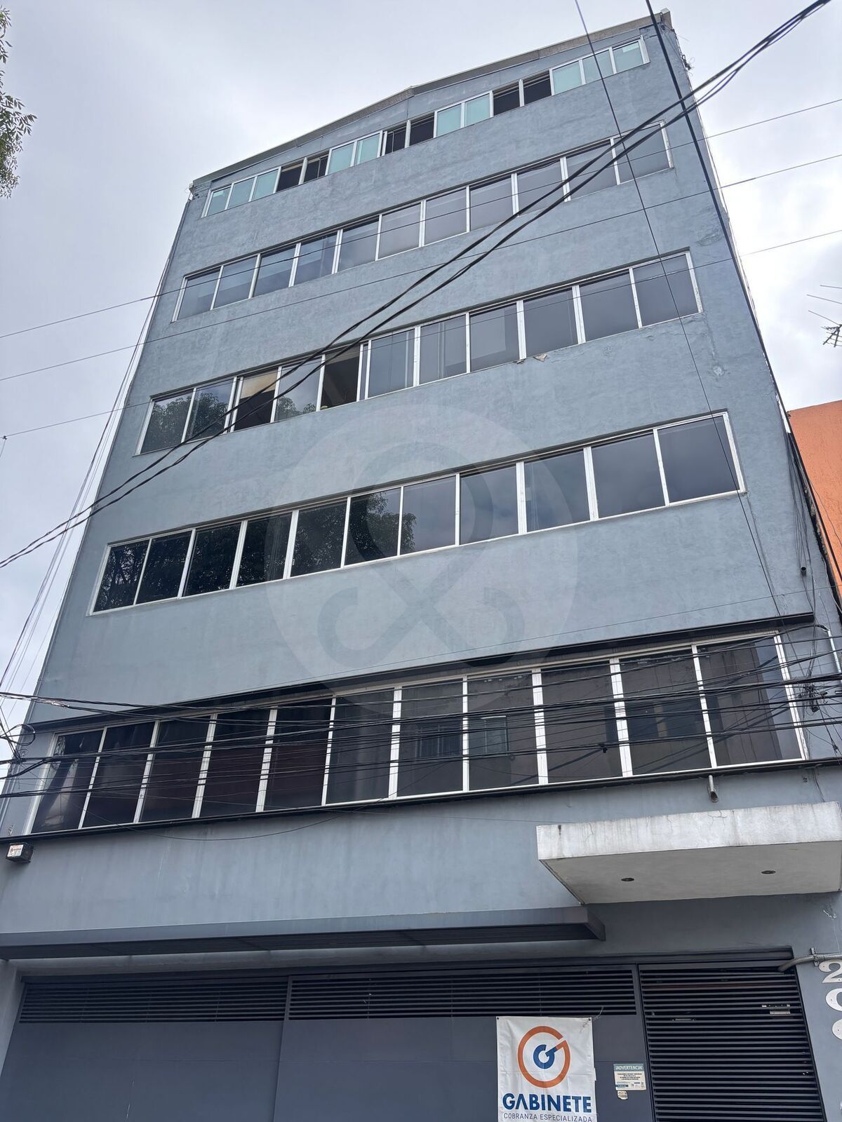 6 de 11