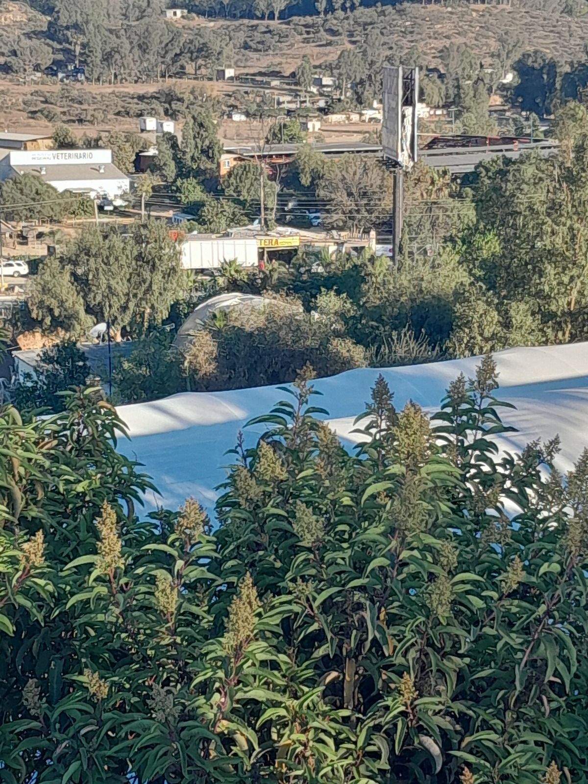 14 de 19: Rancho Casian