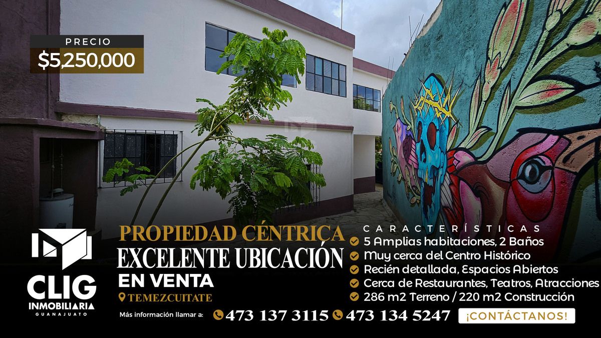1 de 31
