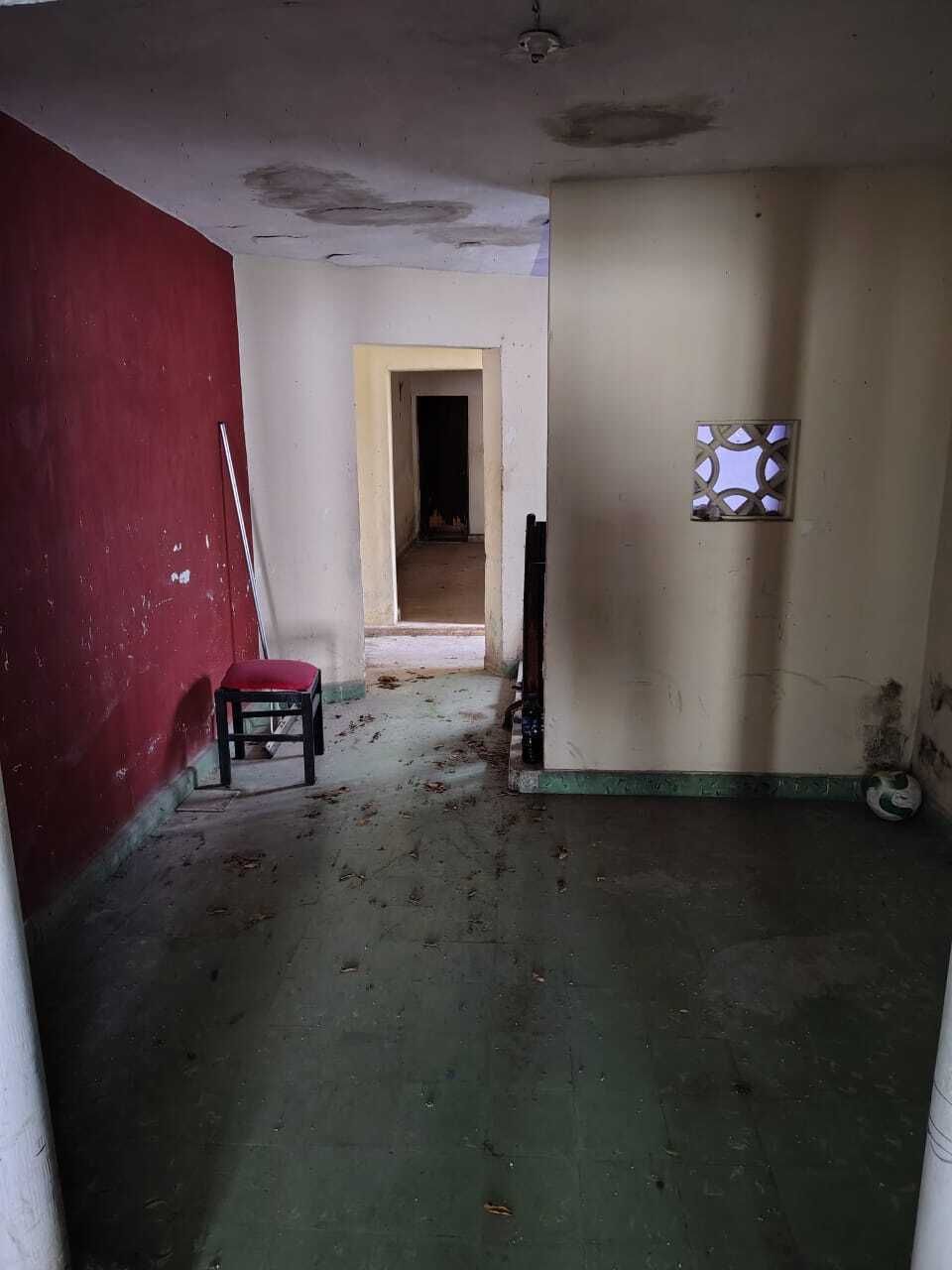 5 de 17