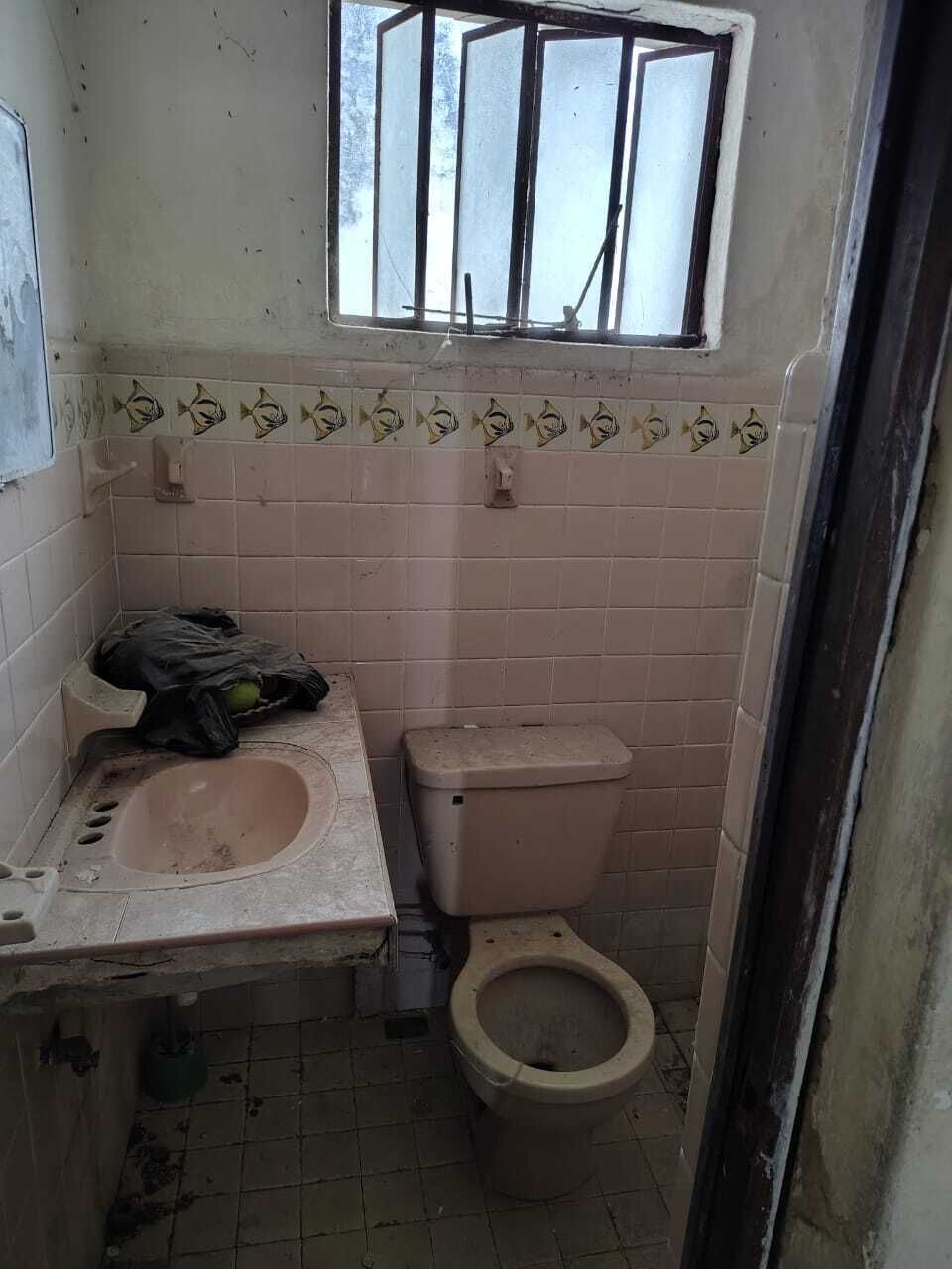 11 de 17