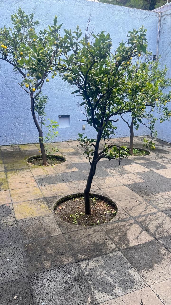 3 de 47