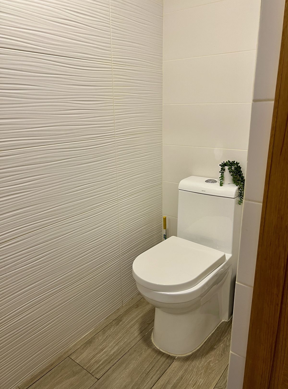 3 de 33: baño de visita