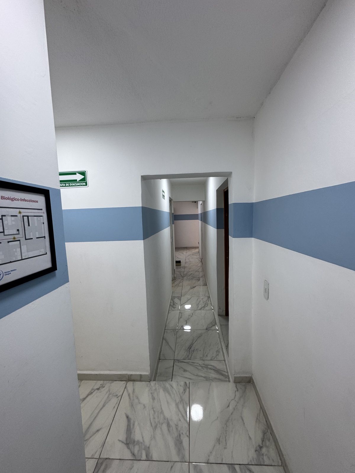7 de 19