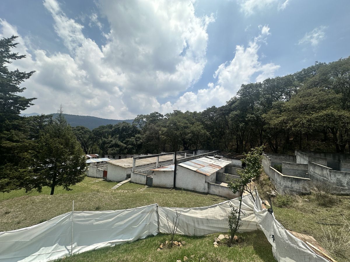15 de 20