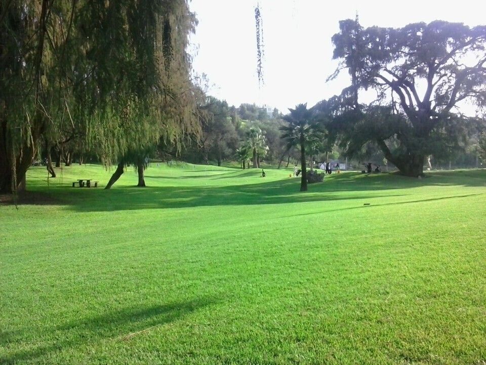 Imagen 3 de 10