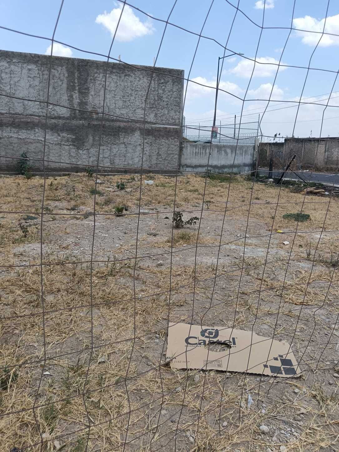 5 de 10