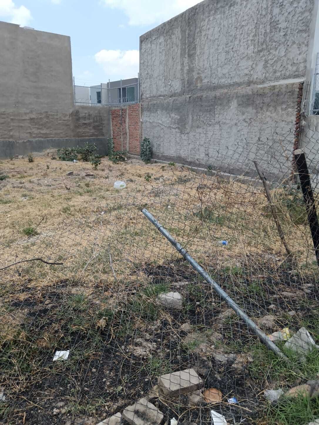 2 de 10